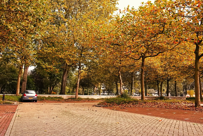 Прогулка по золотой осени