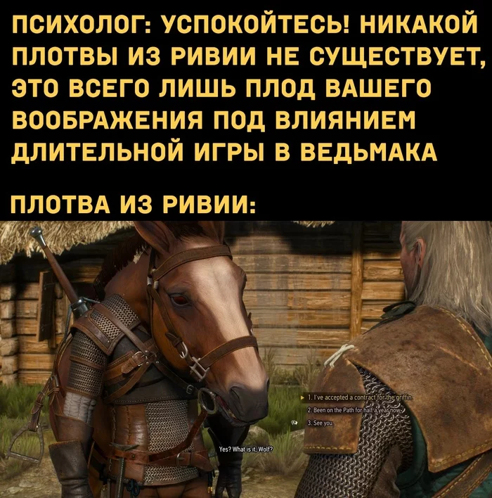 When I went too far with elixirs - Memes, The Witcher 3: Wild Hunt, Geralt of Rivia, Roach, Humor, Picture with text, Bugs in games