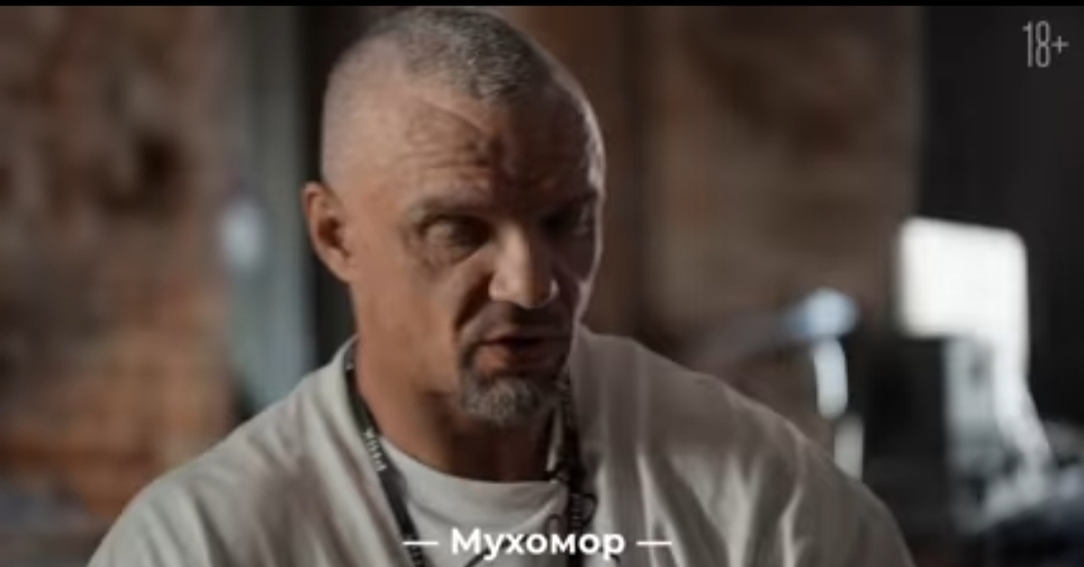 Лихорадка 2025. Лихорадка 2025