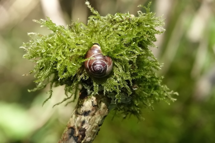 Просто красиво