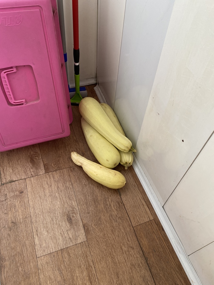 Остатки этого лета