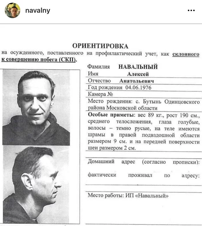 Psychological characteristics of Navalny from the Federal Penitentiary Service - My, Politics, Alexey Navalny, Opposition, Video, Longpost