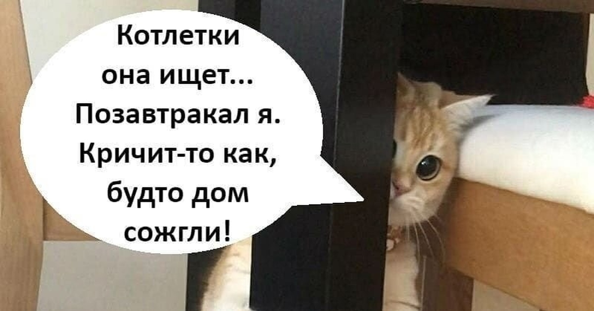 Ну как будто. Котлетки она ищет позавтракал я кричит то как будто дом сожгли. Котлетки она ищет позавтракал. Котлетки она ищет позавтракал я кричит то. Котлетки она ищет... Позавтракал я. кричит-то как, будто....