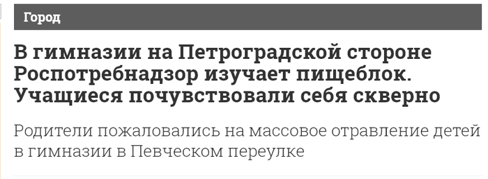 Немного про литературный слог Фонтанка.ру