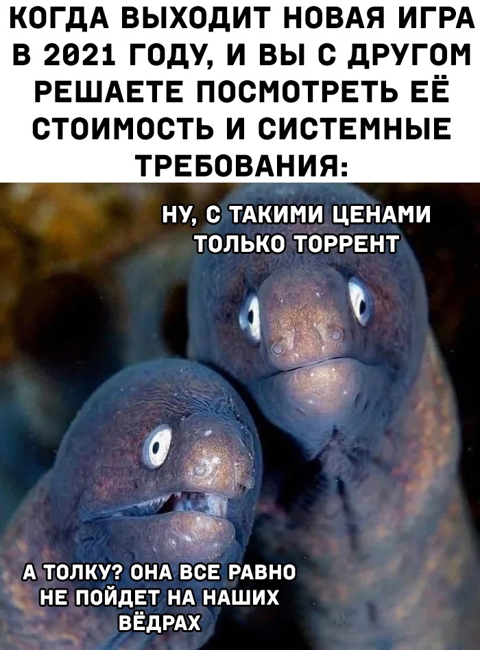 ����� ��� ������ �� �������