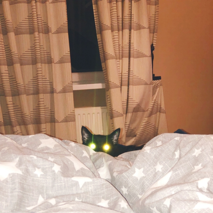 � ������