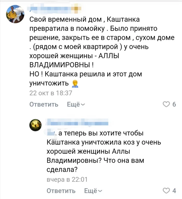 Ответ на пост «Пёс из приюта» - Скриншот, Собака, Приют для животных, Бродячие собаки, Волонтерство, Ответ на пост, Длиннопост