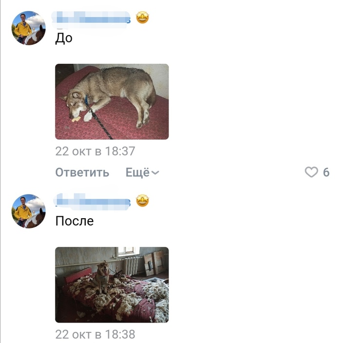    ϸ   , ,   ,  , ,   , 