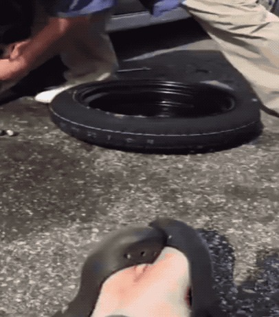   , , , 