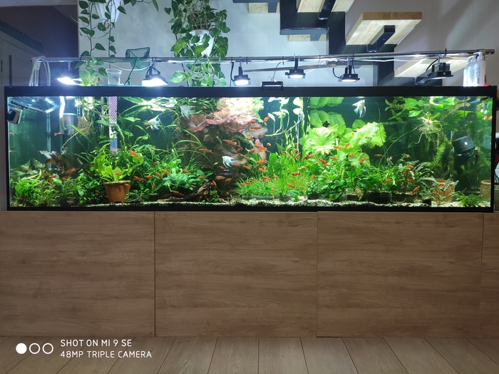 аквариум для рыб xiaomi geometry fish tank aquaponics ecosystem c180 standart set 9 литров. Смотреть фото аквариум для рыб xiaomi geometry fish tank aquaponics ecosystem c180 standart set 9 литров. Смотреть картинку аквариум для рыб xiaomi geometry fish tank aquaponics ecosystem c180 standart set 9 литров. Картинка про аквариум для рыб xiaomi geometry fish tank aquaponics ecosystem c180 standart set 9 литров. Фото аквариум для рыб xiaomi geometry fish tank aquaponics ecosystem c180 standart set 9 литров