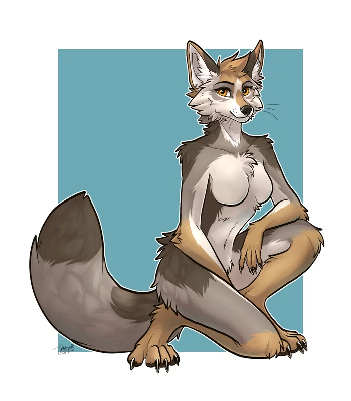 Fluffy - NSFW, Furry, Anthro, Art, Furry edge, Furry canine, Tatujapa, Furry Coyote