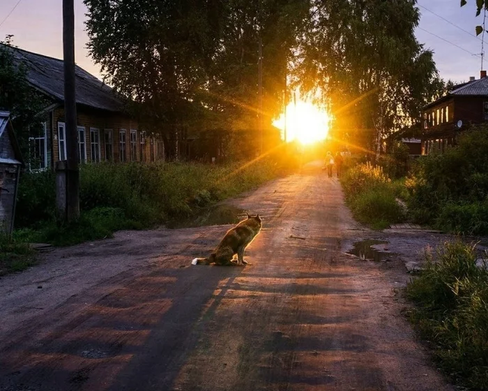 Утро В Деревне Фото В Хорошем Качестве