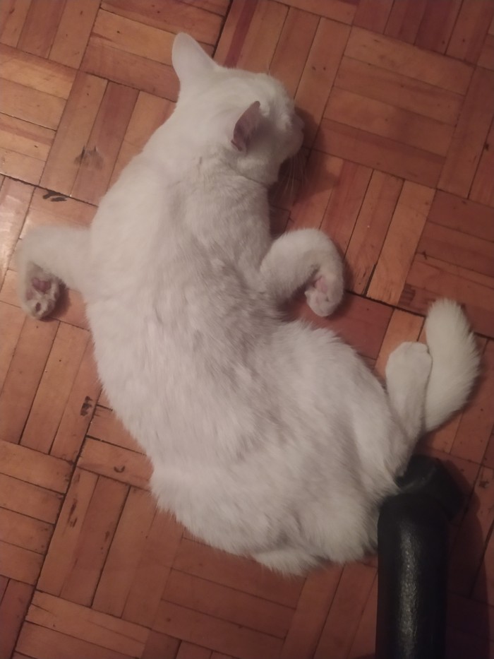 Удобная поза для сна