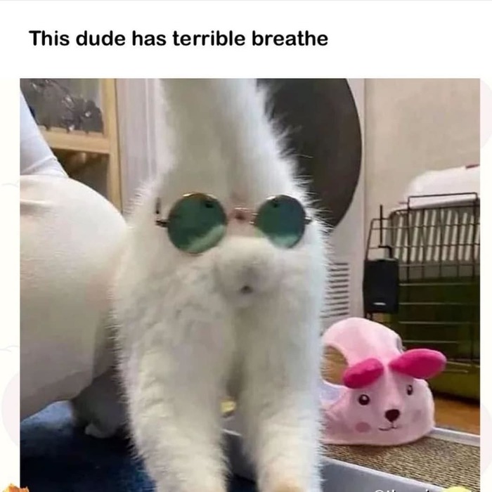      , , Tactooncat