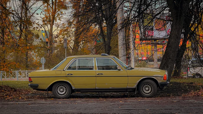 What's a handsome man? - My, The photo, Car, Retro, Mercedes, Autumn, Mobile photography