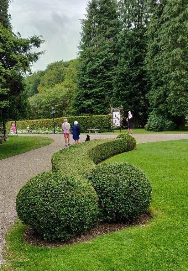 Nice park... And bushes too... - The park, Nature, It seemed, Bushes, Greenery