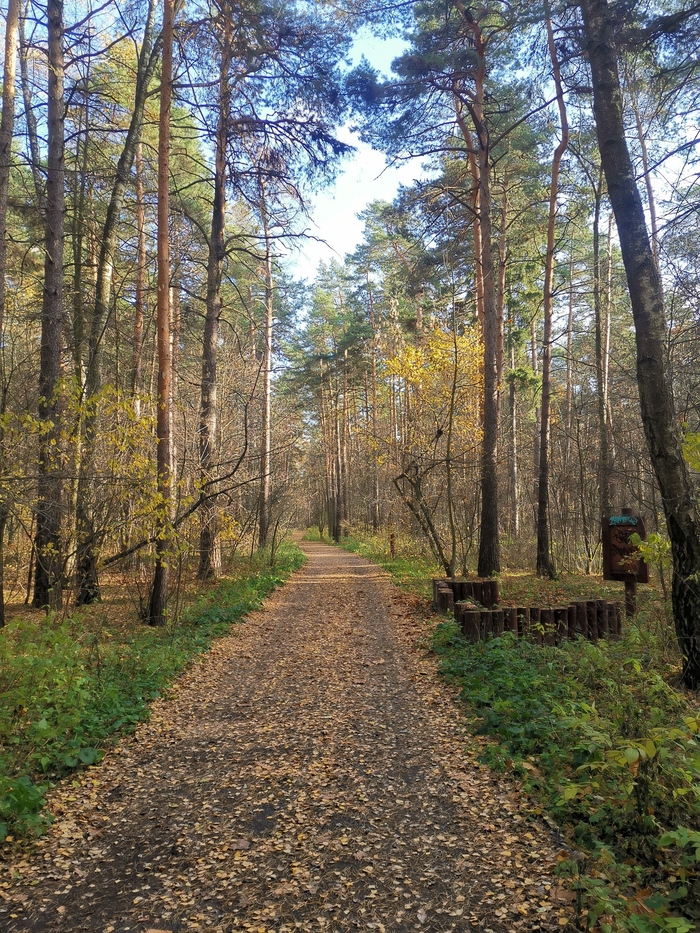 на каком уровне должно быть седло велосипеда. Смотреть фото на каком уровне должно быть седло велосипеда. Смотреть картинку на каком уровне должно быть седло велосипеда. Картинка про на каком уровне должно быть седло велосипеда. Фото на каком уровне должно быть седло велосипеда