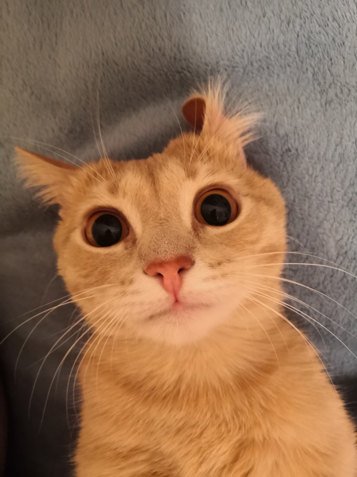 ��� ��� �����������?