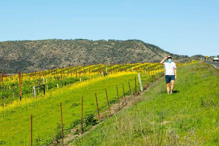 Windows XP, наше время Windows XP, Безмятежность, Обои, Длиннопост, Виноградник, Фотография, Было-Стало