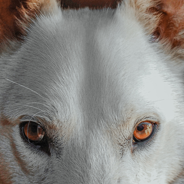 �������, ������� ������� �� ����� �����������������, �� ����� ��������� �� ���������