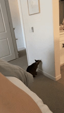   , , , 
