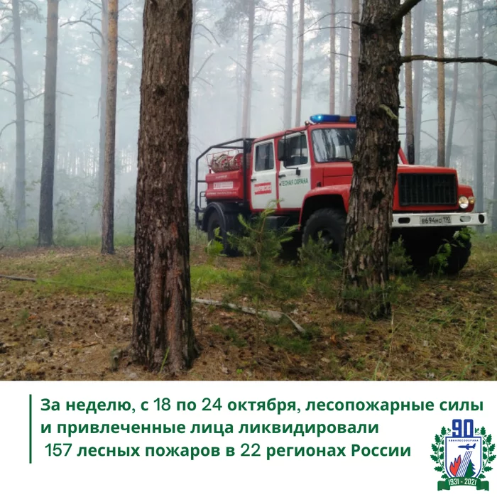 Over the past week, 157 forest fires were eliminated on a total area covered by fire, 6,636 hectares - My, Forest, Negative, Fire, Recommendations, Social advertisement