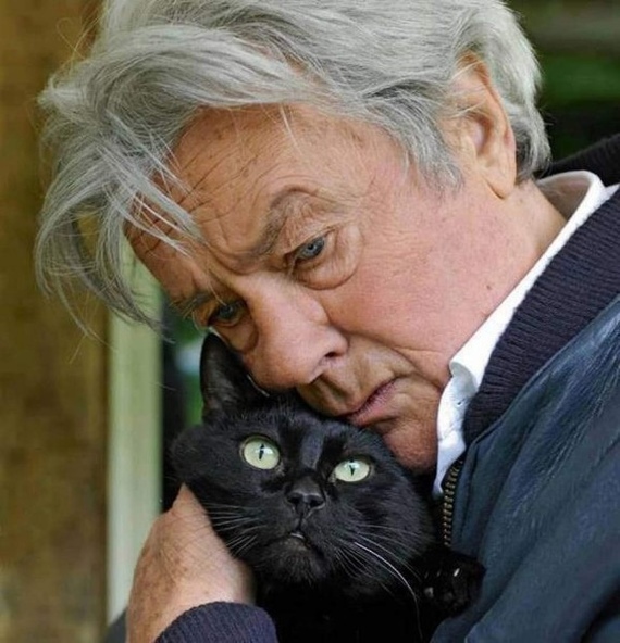 NOT THE END OF LIFE - Actors and actresses, Alain Delon, Humanity, Kindness, Helping animals, The photo, Celebrities, Mercy, , cat, Longpost, Text