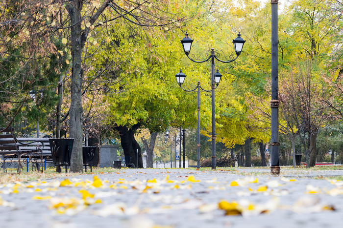 Осеннее фото