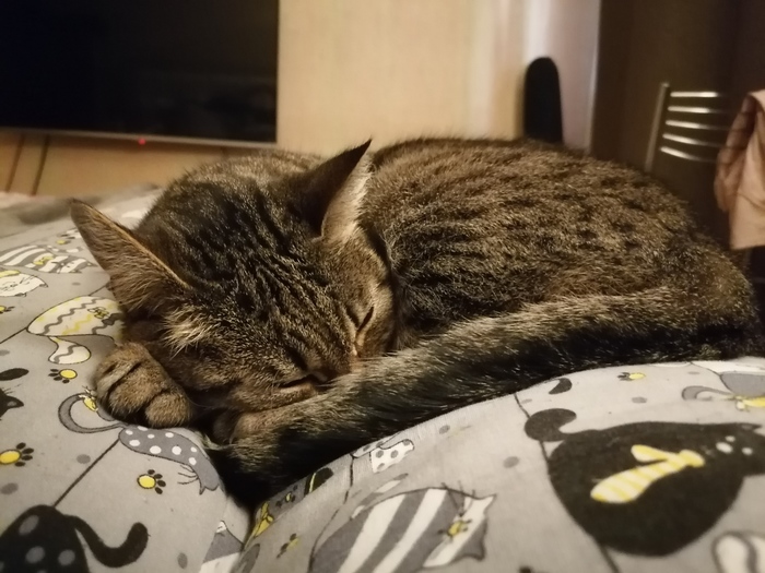 30 ������. � ���� ����� �����