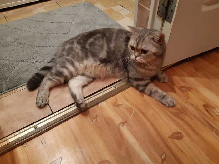 удивительное поражение мозга мем