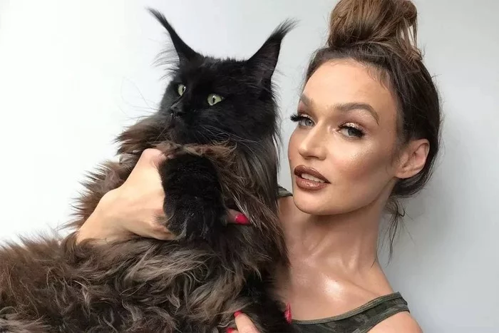 Alena Vodonaeva bought an apartment for her cat for 19 million rubles in Khamovniki, because her son's allergy to the animal worsened - Moscow, Apartment, Alyona Vodonayeva, Khamovniki, Hype, cat
