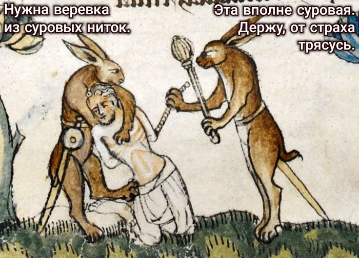 Rigid rope... - Suffering middle ages, Strange humor, Memes, Hare, Severity, Rope, Violence