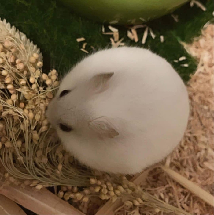     , , , , 