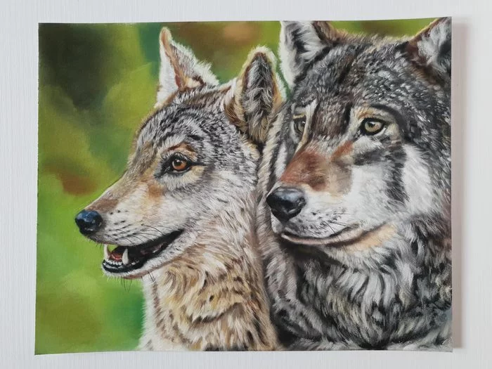 Wolves - My, Drawing, Pastel, Wolf, Artist, Animalistics