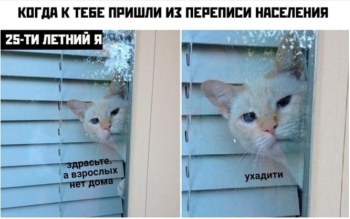       , , , , ,   