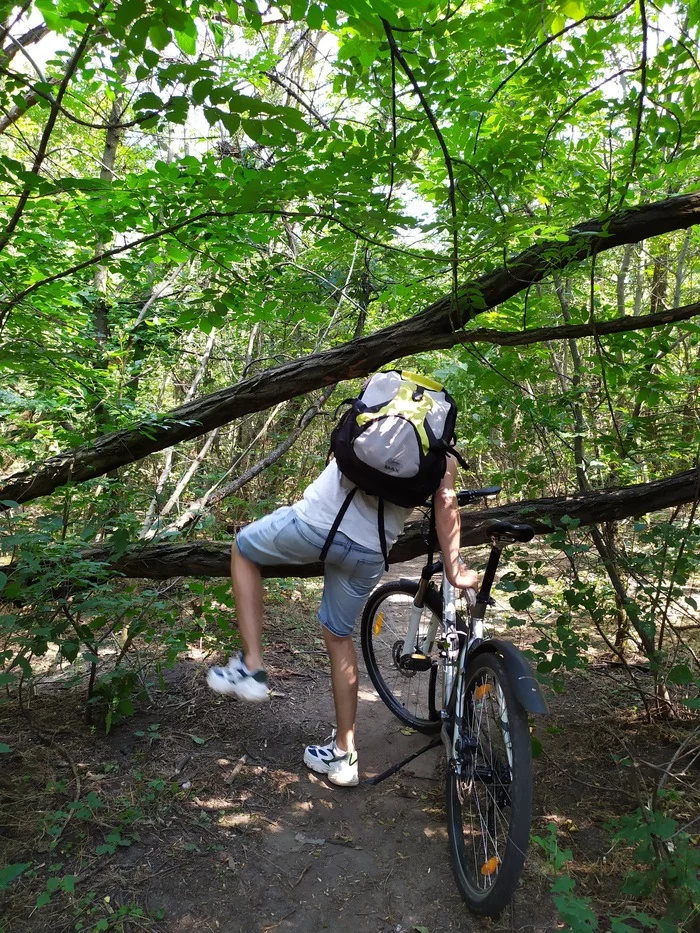 Sacrifice in our time. - My, Old Believers, Sacrifice, Cyclist, Travels, Video, Longpost