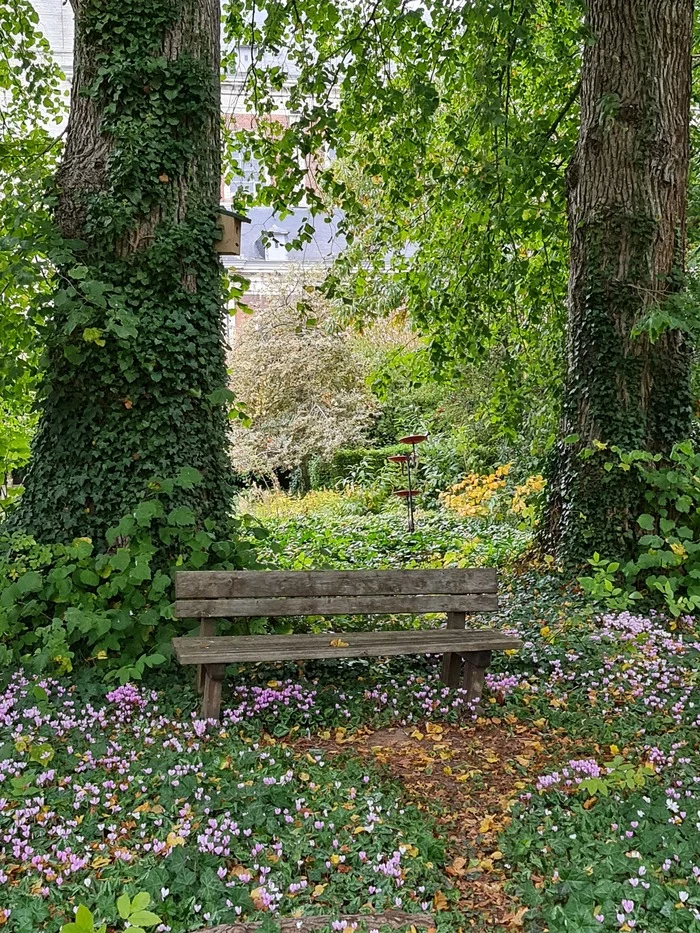 Park in Hoogarden, Belgium - My, Belgium, The park, Story, Europe, Nature, Longpost