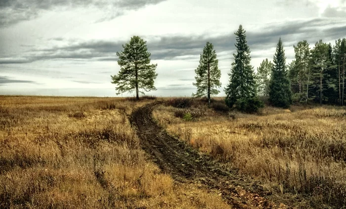 Late fall - My, Middle Ural, Nature, Landscape, Autumn, Field, Tree, Perspective, The photo