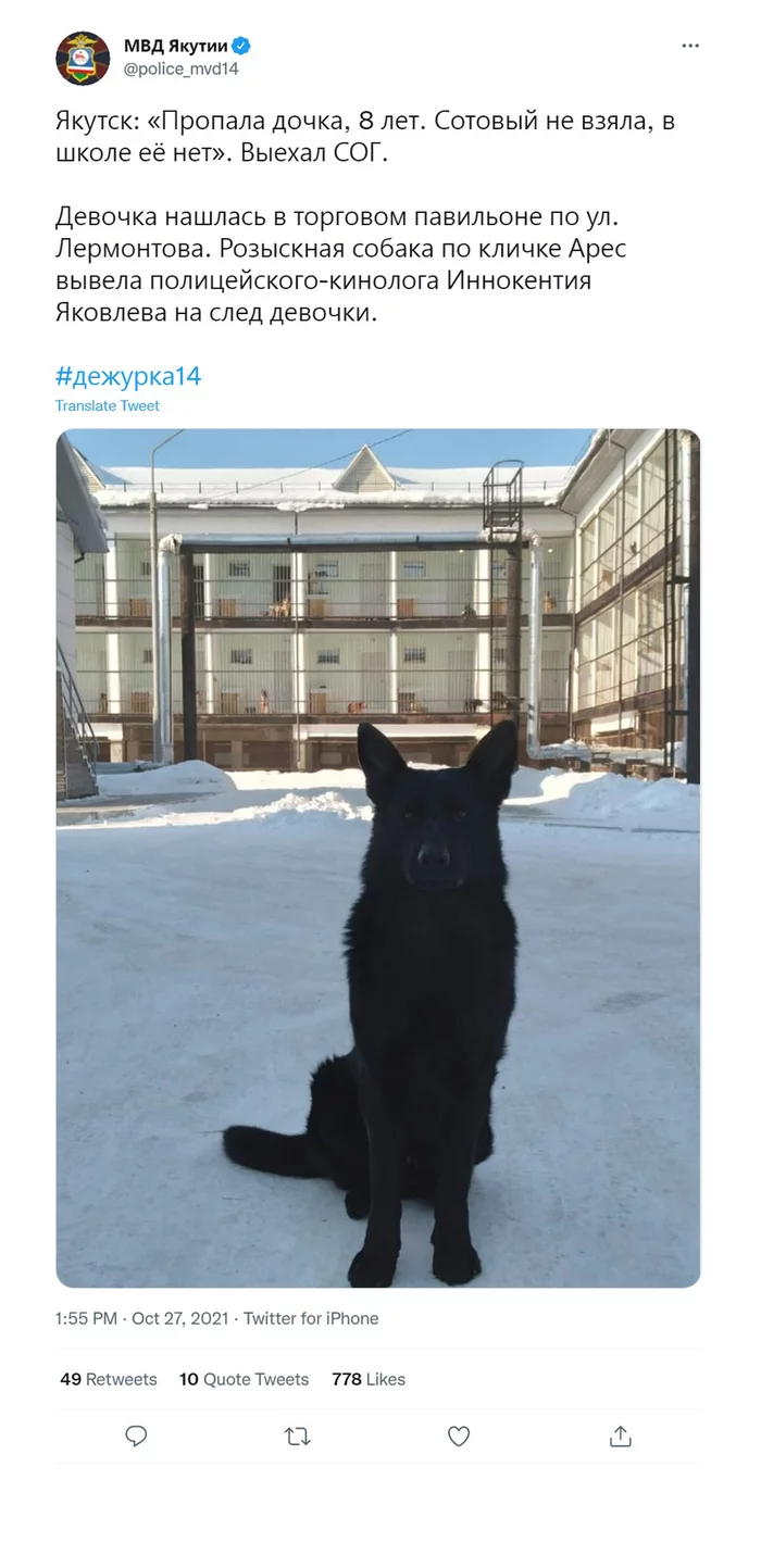 Good boy - Dog, Duty unit, Yakutsk, Twitter, Police, People search