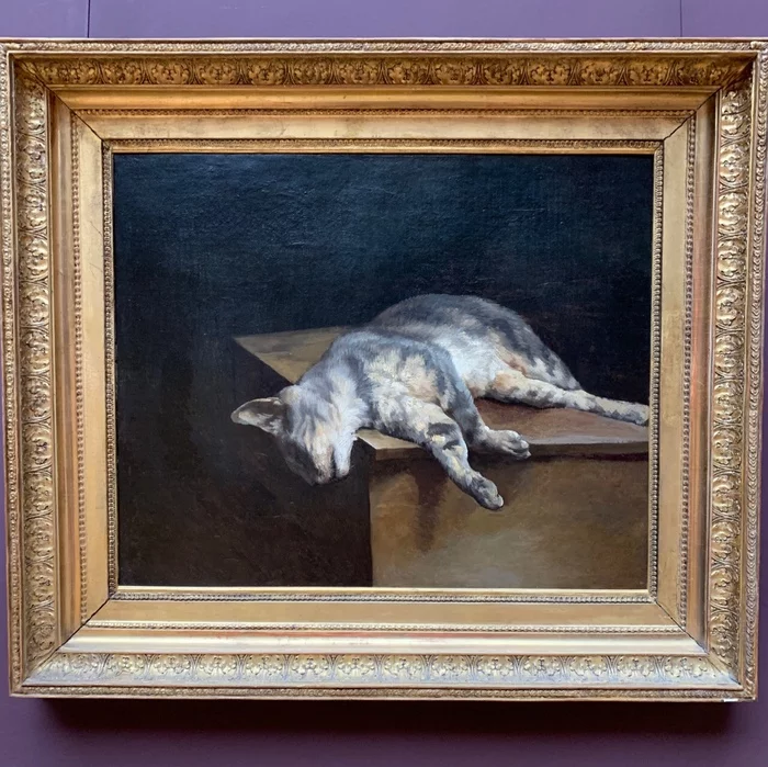 dead cat - cat, Painting, Theodore Gericault, Louvre