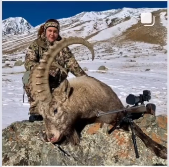 Reply to the post “Mystical luck! When killing animals listed in the Red Book is enviable, laudable and legal” - Hunting, Negative, Altai Republic, Wild animals, Bullying, Video, Reply to post, Longpost