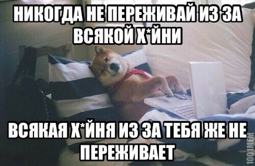 The dog is talking - Humor, Picture with text, Repeat, Wisdom, Pets