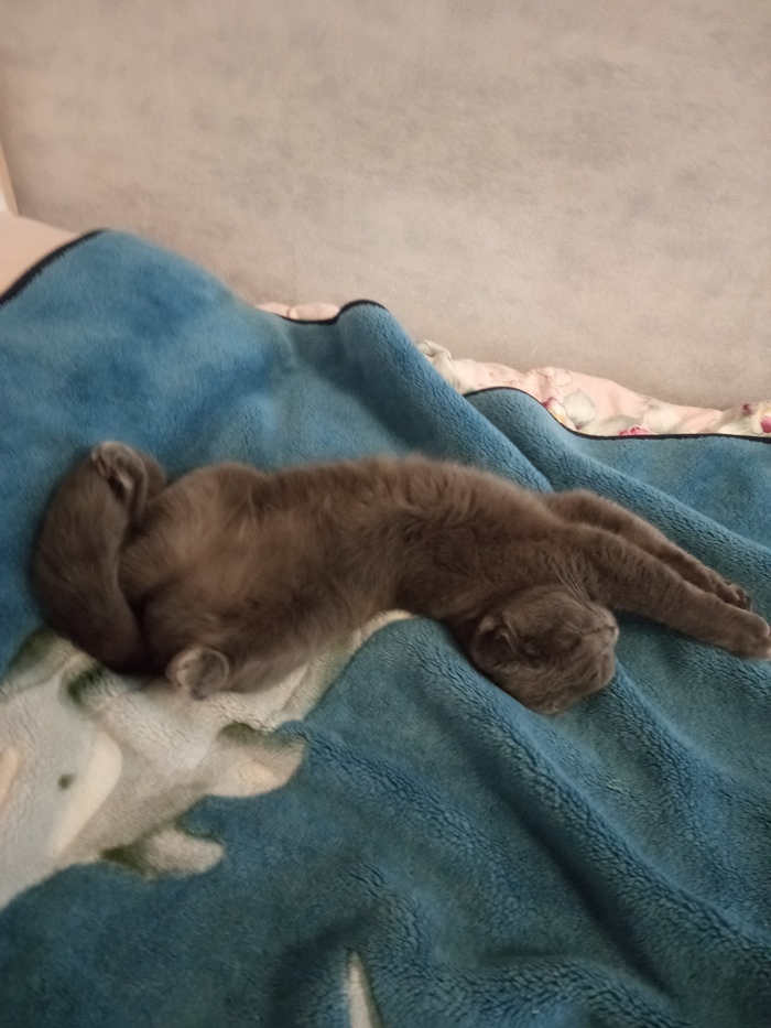       , , 