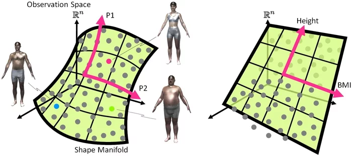 Relationship between appearance and income level - My, Income, Women, Excess weight, Men, Growth