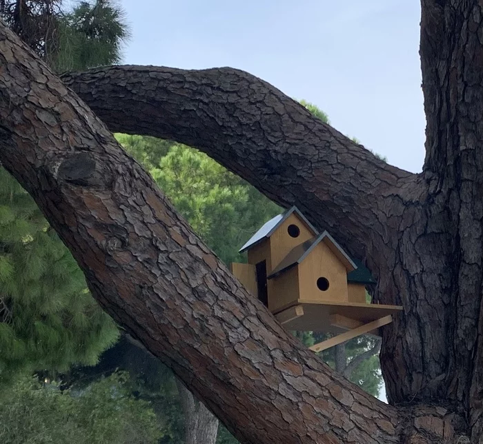 A solid birdhouse for wealthy birds - The photo, Birdhouse, Wealth, Luxury