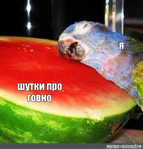 [����� �������� ����] ���� ������