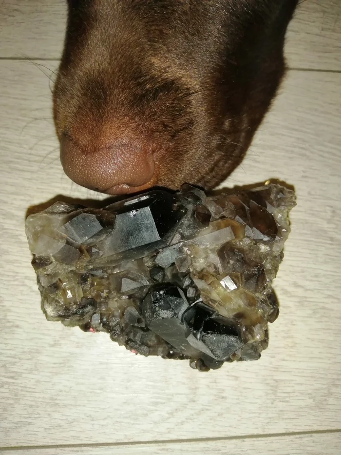 Can you tell me what is this mineral? - My, Geology, Ural, Minerals, What's this?