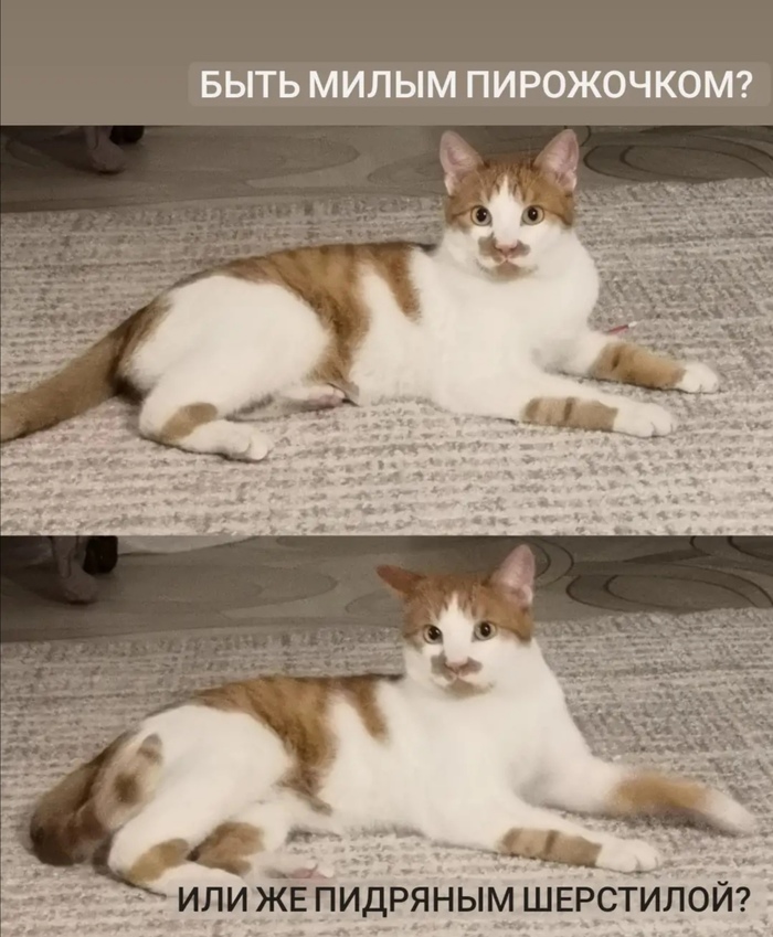 ������� �����