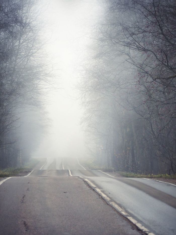 Сегодняшний туман Туман, Россия, Ленинградская область, Дорога, Пейзаж, Фотография, Осень