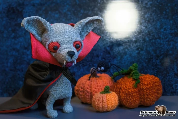 Dracula dog - My, Halloween, Crochet, Knitted toys, Souvenirs, Pumpkin, Vampires, Dracula